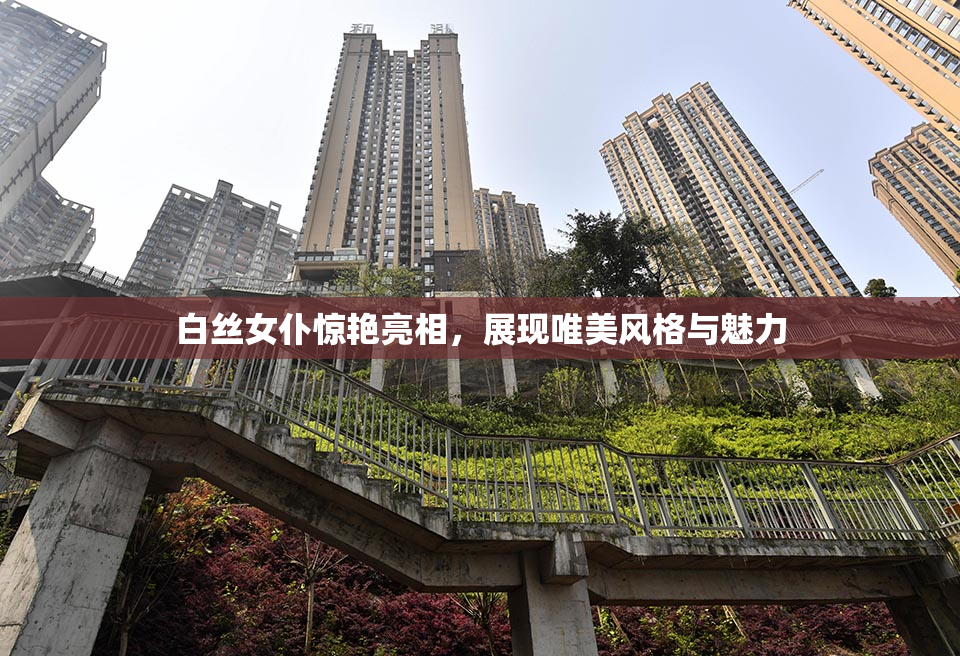 白丝女仆惊艳亮相，展现唯美风格与魅力
