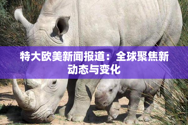 特大欧美新闻报道：全球聚焦新动态与变化