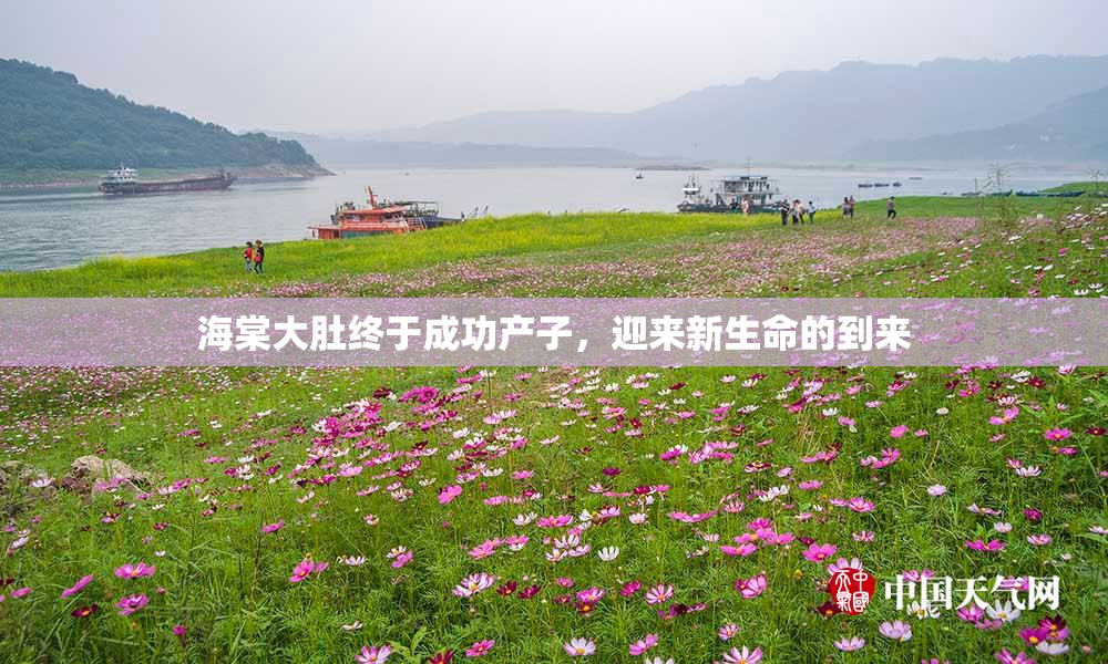 海棠大肚终于成功产子，迎来新生命的到来