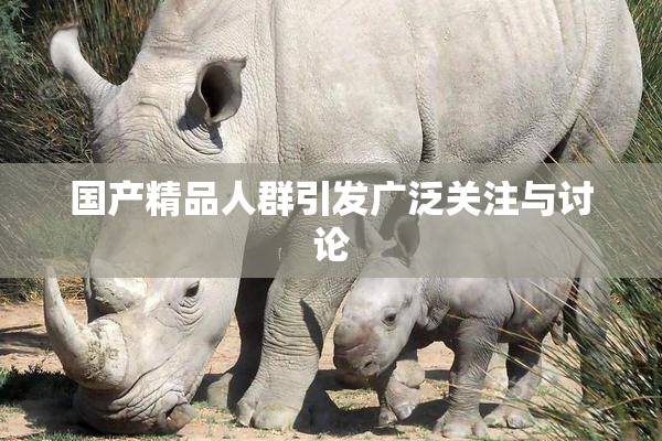 国产精品人群引发广泛关注与讨论