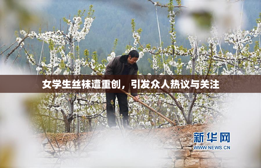 女学生丝袜遭重创，引发众人热议与关注