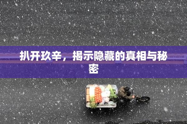 扒开玖辛，揭示隐藏的真相与秘密