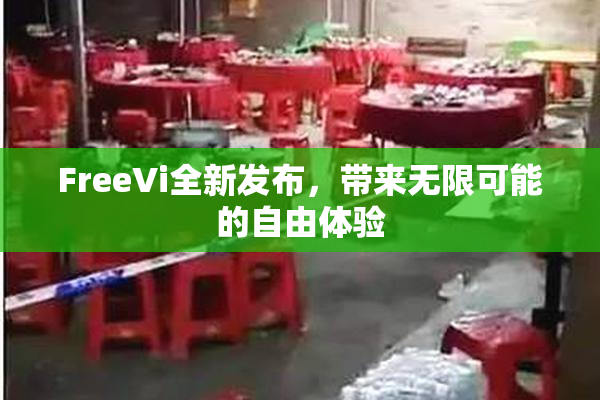 FreeVi全新发布，带来无限可能的自由体验