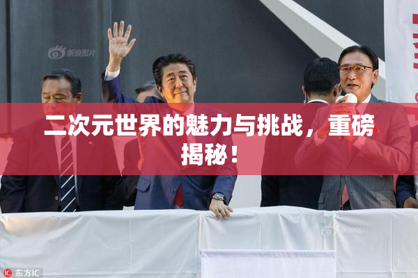 二次元世界的魅力与挑战，重磅揭秘！