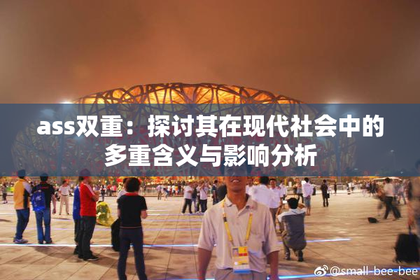 ass双重：探讨其在现代社会中的多重含义与影响分析