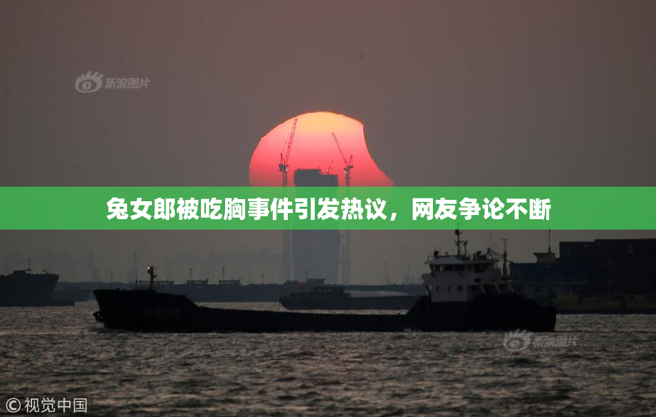 兔女郎被吃胸事件引发热议，网友争论不断