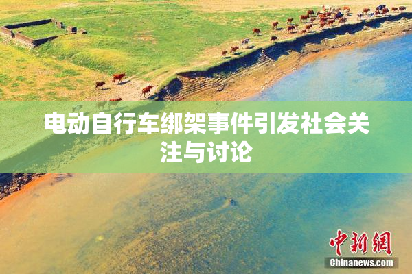 电动自行车绑架事件引发社会关注与讨论