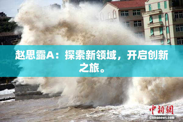 赵思露A：探索新领域，开启创新之旅。