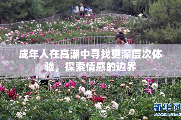 成年人在高潮中寻找更深层次体验，探索情感的边界