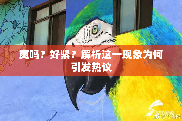 爽吗？好紧？解析这一现象为何引发热议