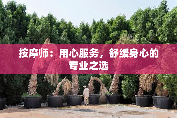 按摩师：用心服务，舒缓身心的专业之选