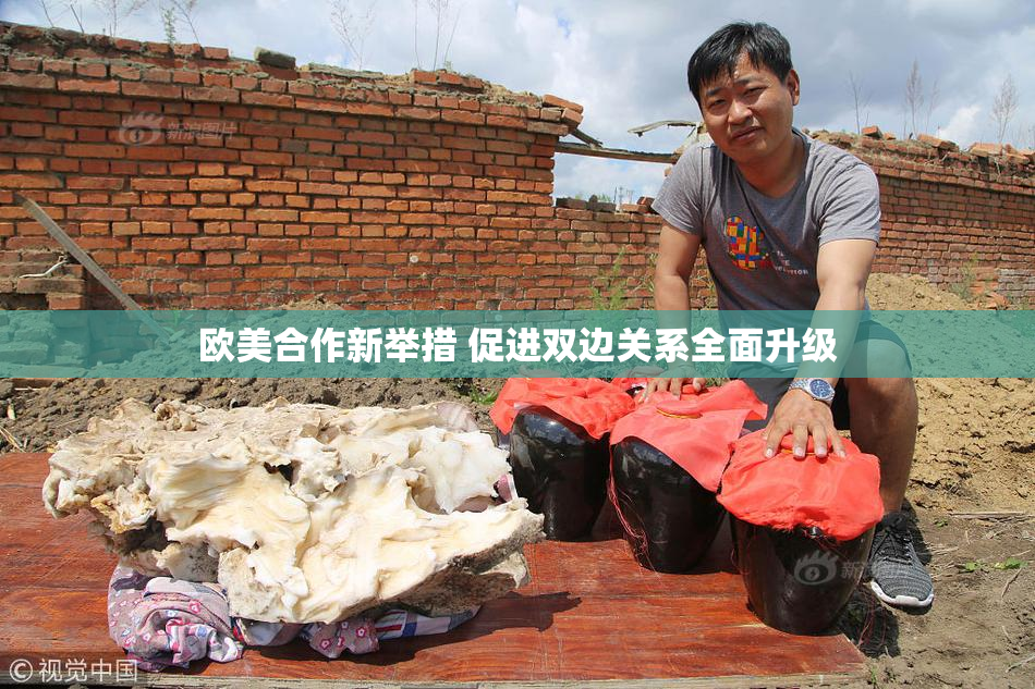 欧美合作新举措 促进双边关系全面升级