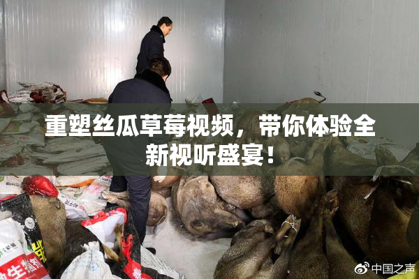 重塑丝瓜草莓视频，带你体验全新视听盛宴！