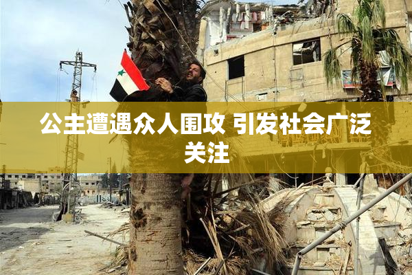 公主遭遇众人围攻 引发社会广泛关注