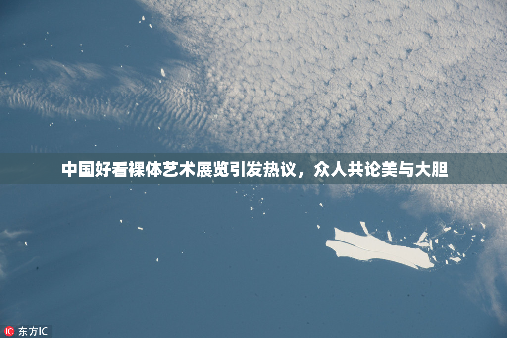 中国好看裸体艺术展览引发热议，众人共论美与大胆