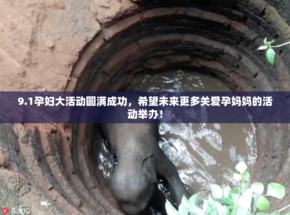 9.1孕妇大活动圆满成功，希望未来更多关爱孕妈妈的活动举办！