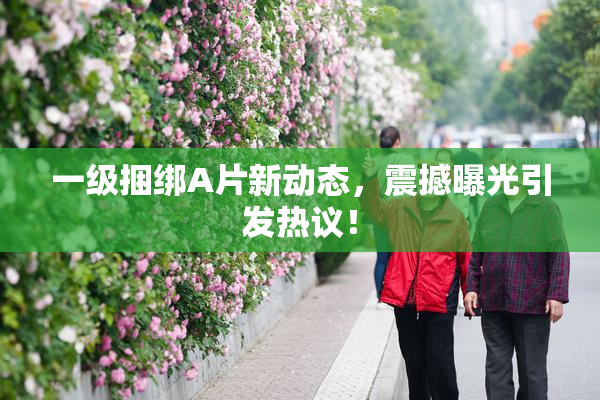 一级捆绑A片新动态，震撼曝光引发热议！