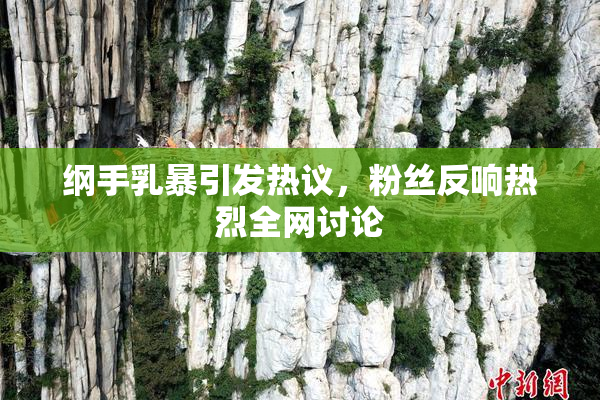 纲手乳暴引发热议，粉丝反响热烈全网讨论