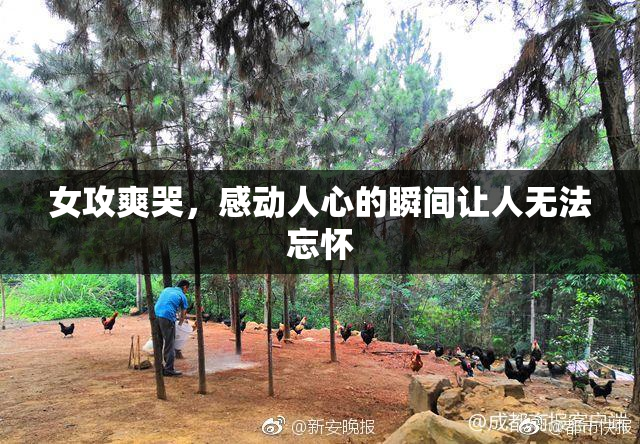 女攻爽哭，感动人心的瞬间让人无法忘怀