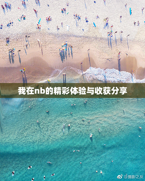 我在nb的精彩体验与收获分享
