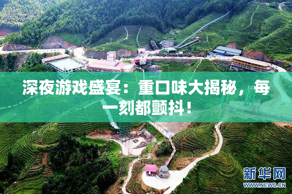 深夜游戏盛宴：重口味大揭秘，每一刻都颤抖！