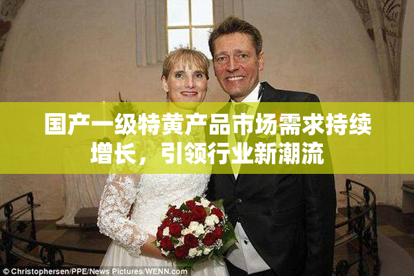 国产一级特黄产品市场需求持续增长，引领行业新潮流