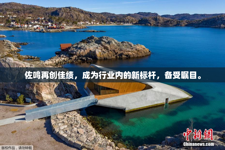 佐鸣再创佳绩，成为行业内的新标杆，备受瞩目。