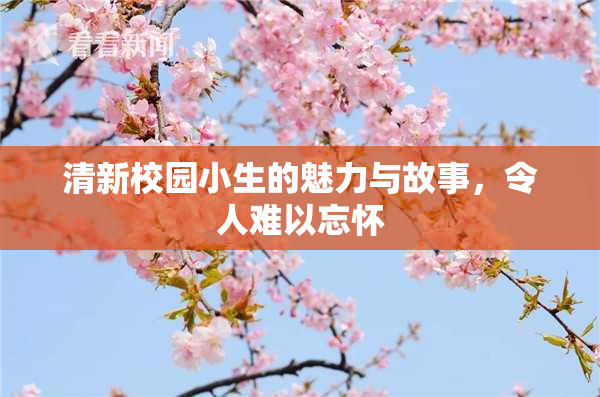 清新校园小生的魅力与故事，令人难以忘怀