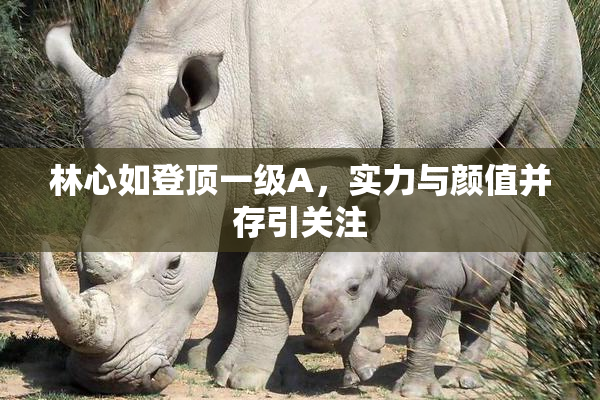 林心如登顶一级A，实力与颜值并存引关注