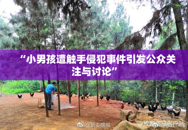 “小男孩遭触手侵犯事件引发公众关注与讨论”