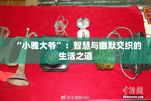 “小雅大爷”：智慧与幽默交织的生活之道