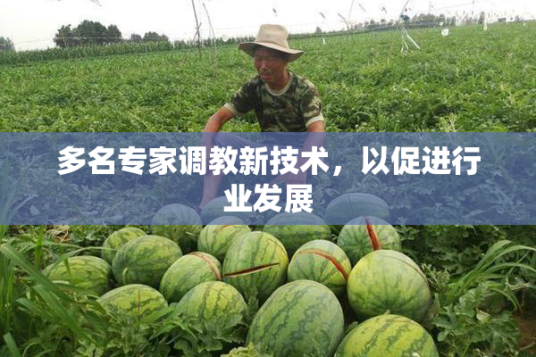 多名专家调教新技术，以促进行业发展