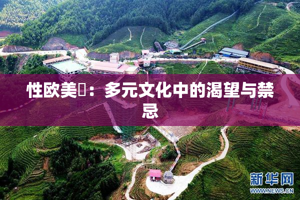 性欧美婬：多元文化中的渴望与禁忌