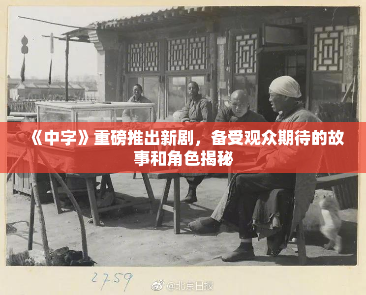 《中字》重磅推出新剧，备受观众期待的故事和角色揭秘