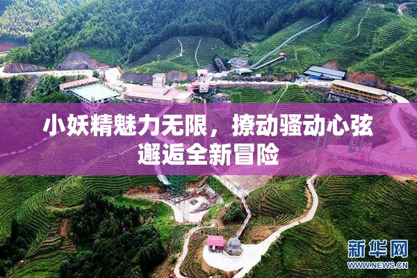 小妖精魅力无限，撩动骚动心弦邂逅全新冒险