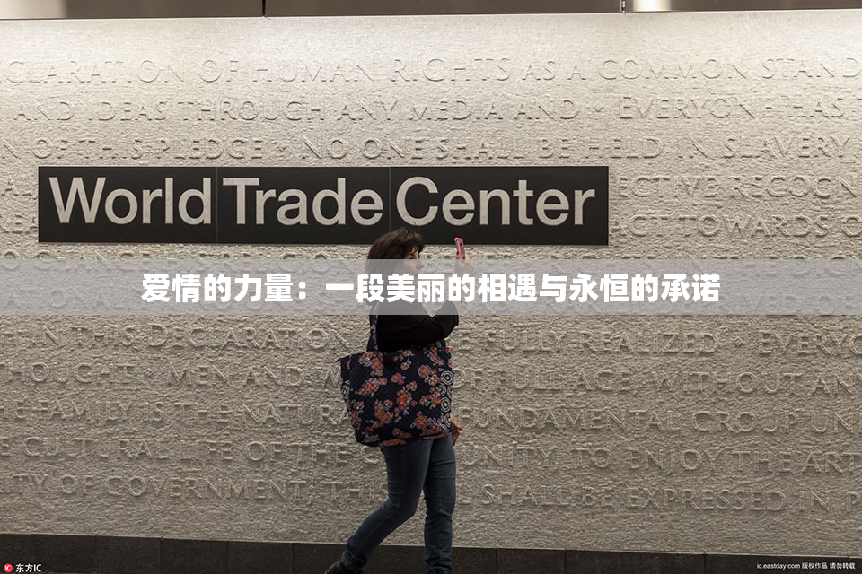 爱情的力量：一段美丽的相遇与永恒的承诺
