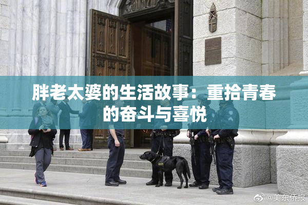 胖老太婆的生活故事：重拾青春的奋斗与喜悦