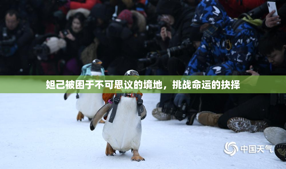 妲己被困于不可思议的境地，挑战命运的抉择