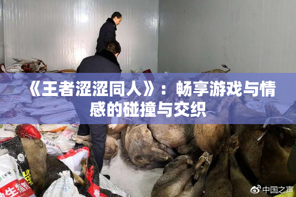 《王者涩涩同人》：畅享游戏与情感的碰撞与交织