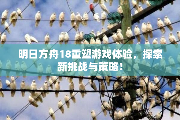 明日方舟18重塑游戏体验，探索新挑战与策略！