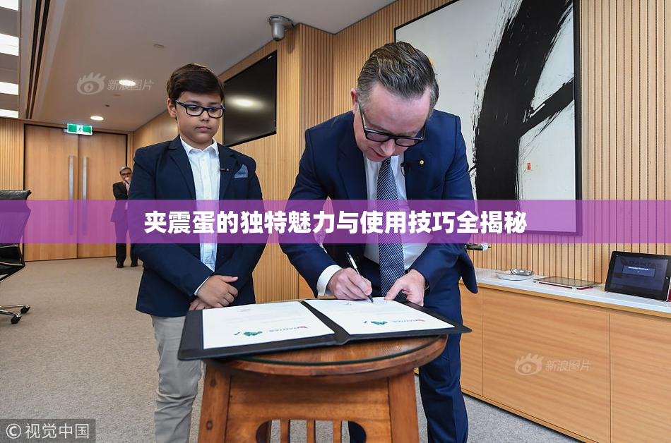 夹震蛋的独特魅力与使用技巧全揭秘