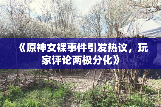 《原神女裸事件引发热议，玩家评论两极分化》