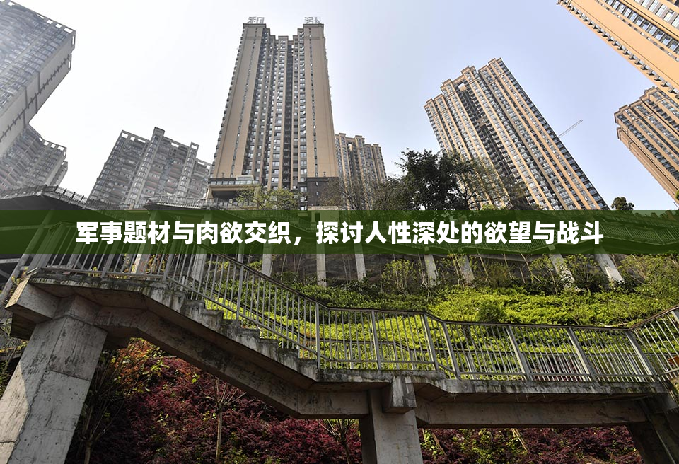 军事题材与肉欲交织，探讨人性深处的欲望与战斗
