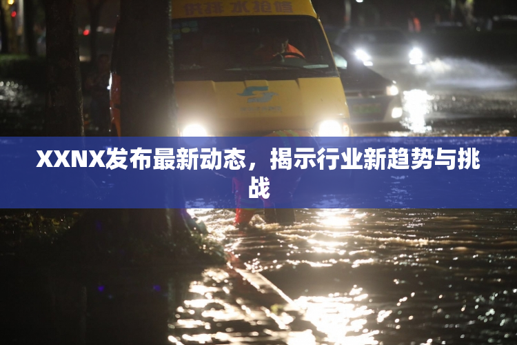 XXNX发布最新动态，揭示行业新趋势与挑战