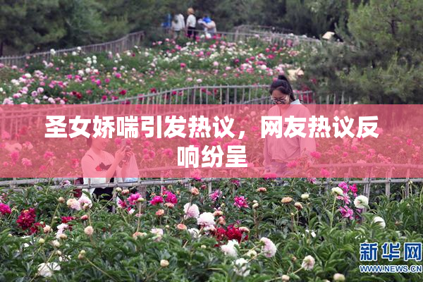 圣女娇喘引发热议，网友热议反响纷呈