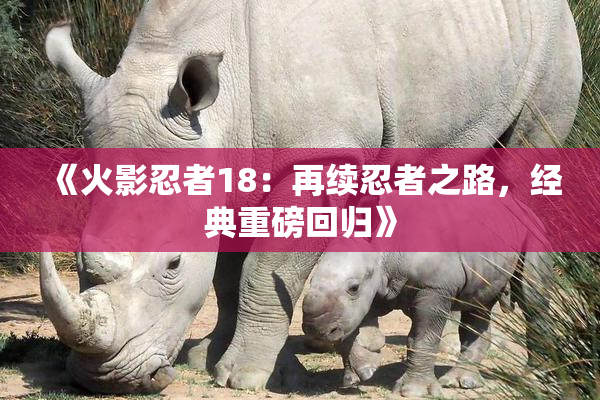《火影忍者18：再续忍者之路，经典重磅回归》