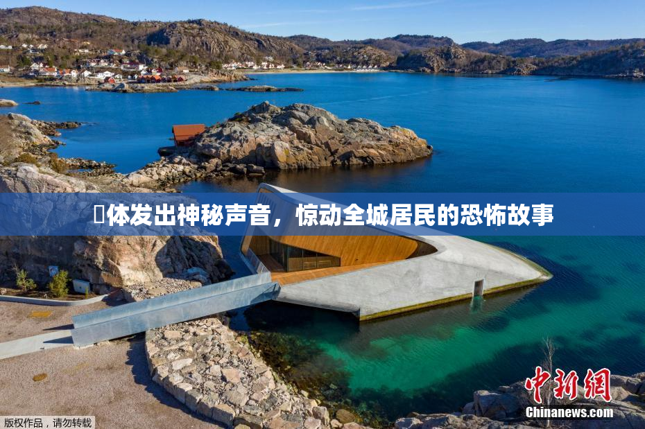 屍体发出神秘声音，惊动全城居民的恐怖故事
