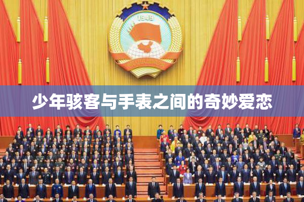 少年骇客与手表之间的奇妙爱恋