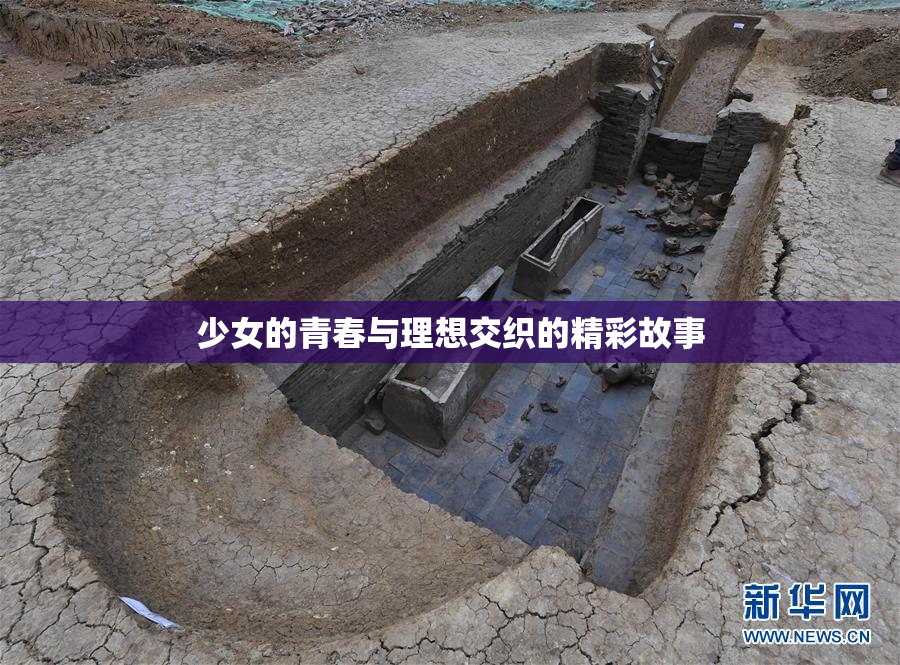 少女的青春与理想交织的精彩故事
