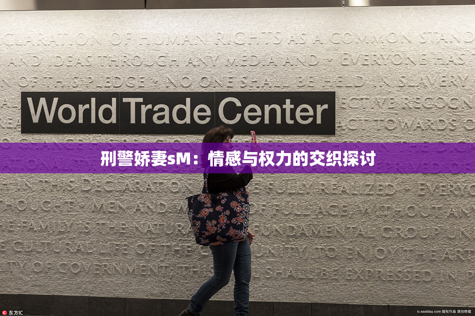 刑警娇妻sM：情感与权力的交织探讨